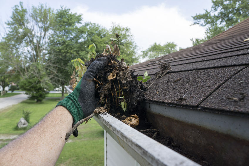 44096721 - cleaning gutters filled with leaves and sticks.